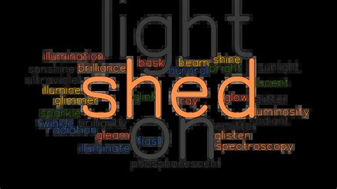 shed light syn|shed light on the question.